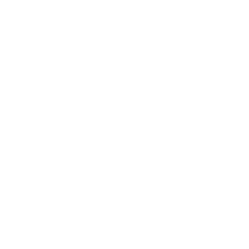 By Ganz